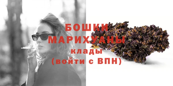 гидра Бородино