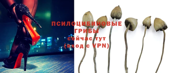 PSILOCYBIN Богородицк