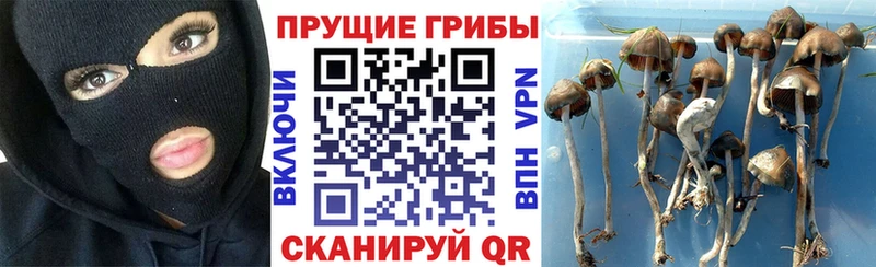 Галлюциногенные грибы MAGIC MUSHROOMS  blacksprut tor  Бутурлиновка 